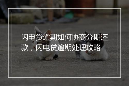 闪电贷逾期如何协商分期还款，闪电贷逾期处理攻略