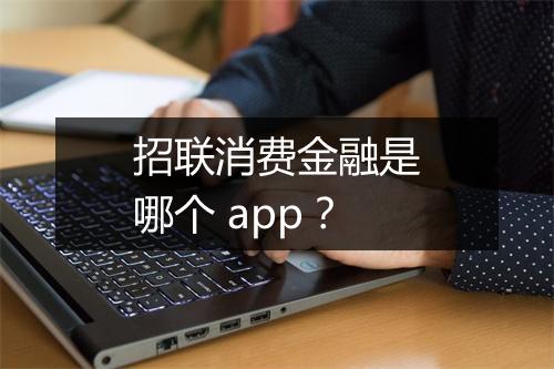 招联消费金融是哪个 app？