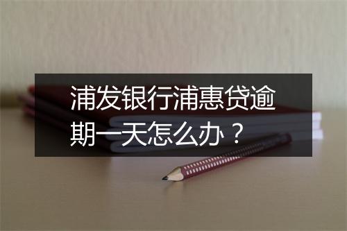 浦发银行浦惠贷逾期一天怎么办？