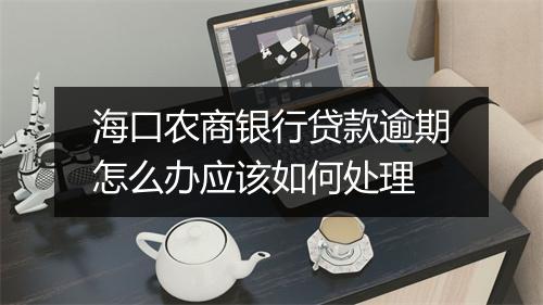 海口农商银行贷款逾期怎么办应该如何处理