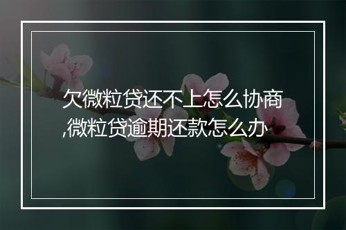 欠微粒贷还不上怎么协商,微粒贷逾期还款怎么办