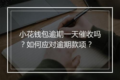 小花钱包逾期一天催收吗？如何应对逾期款项？