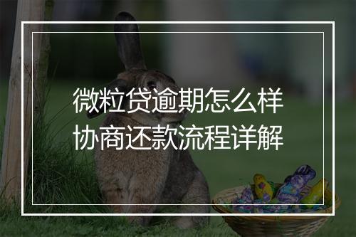 微粒贷逾期怎么样协商还款流程详解