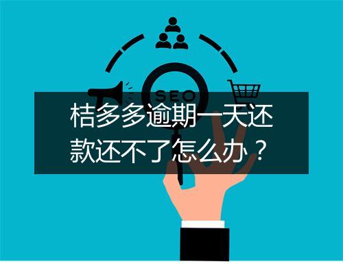 桔多多逾期一天还款还不了怎么办？