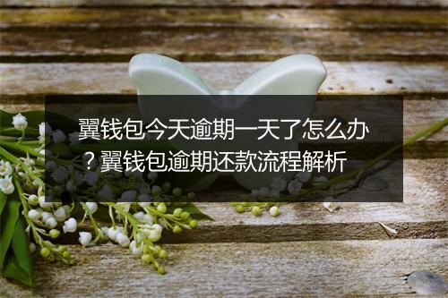 翼钱包今天逾期一天了怎么办？翼钱包逾期还款流程解析