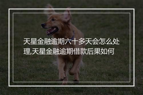 天星金融逾期六十多天会怎么处理,天星金融逾期借款后果如何