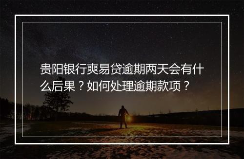 贵阳银行爽易贷逾期两天会有什么后果？如何处理逾期款项？
