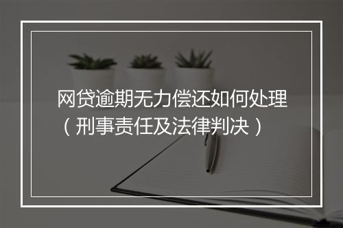网贷逾期无力偿还如何处理（刑事责任及法律判决）