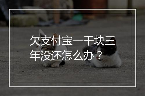 欠支付宝一千块三年没还怎么办？
