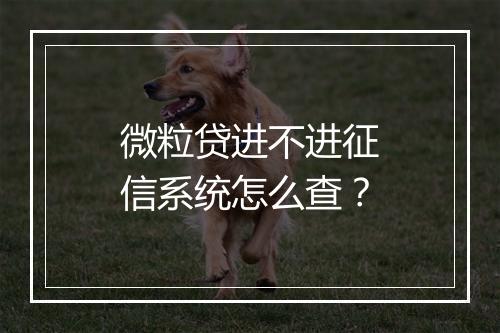 微粒贷进不进征信系统怎么查？