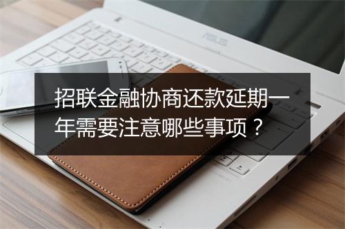 招联金融协商还款延期一年需要注意哪些事项？