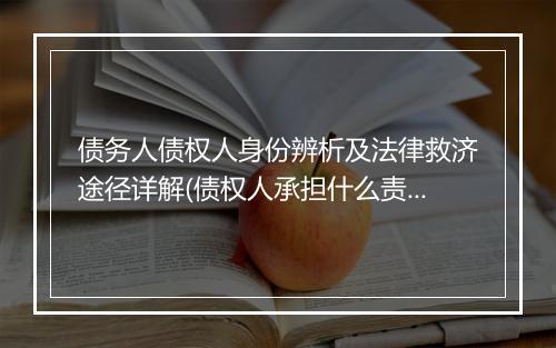 债务人债权人身份辨析及法律救济途径详解(债权人承担什么责任)