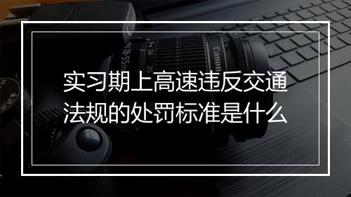实习期上高速违反交通法规的处罚标准是什么
