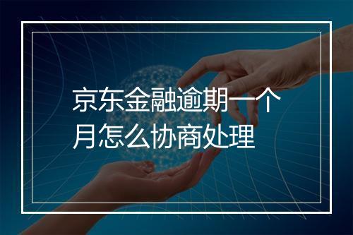 京东金融逾期一个月怎么协商处理