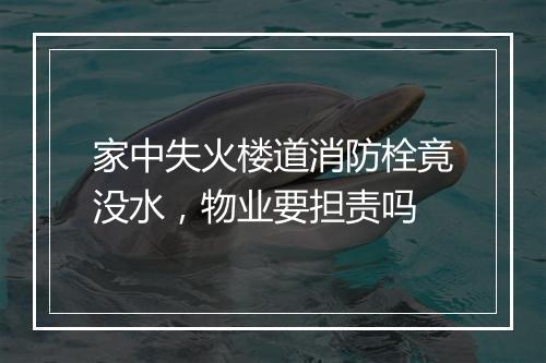 家中失火楼道消防栓竟没水，物业要担责吗