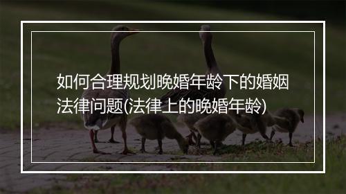 如何合理规划晚婚年龄下的婚姻法律问题(法律上的晚婚年龄)