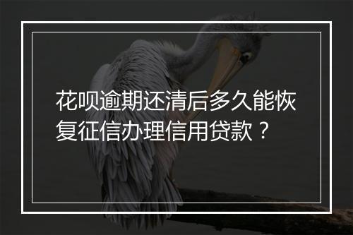 花呗逾期还清后多久能恢复征信办理信用贷款？