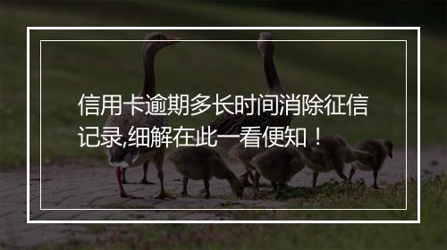 信用卡逾期多长时间消除征信记录,细解在此一看便知！