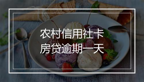 农村信用社卡房贷逾期一天