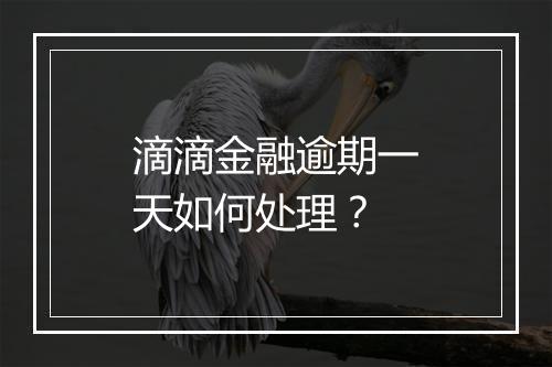 滴滴金融逾期一天如何处理？