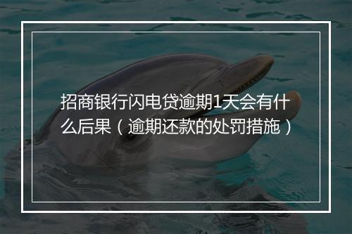 招商银行闪电贷逾期1天会有什么后果（逾期还款的处罚措施）