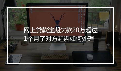 网上贷款逾期欠款20万超过1个月了对方起诉如何处理