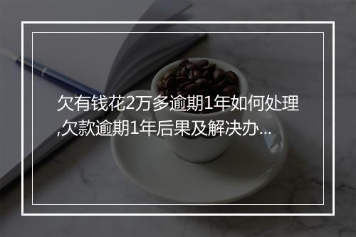 欠有钱花2万多逾期1年如何处理,欠款逾期1年后果及解决办法