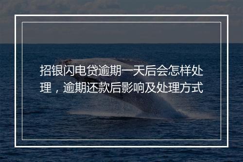 招银闪电贷逾期一天后会怎样处理，逾期还款后影响及处理方式