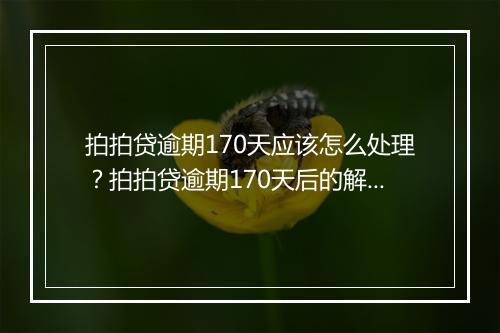 拍拍贷逾期170天应该怎么处理？拍拍贷逾期170天后的解决