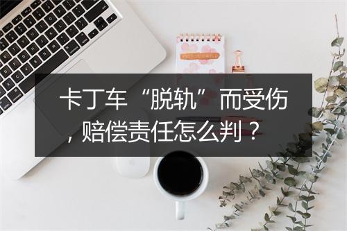 卡丁车“脱轨”而受伤，赔偿责任怎么判？