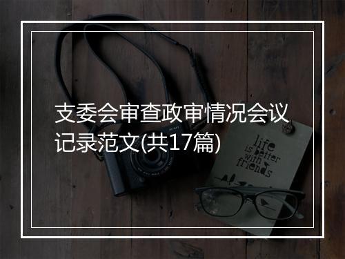 支委会审查政审情况会议记录范文(共17篇)