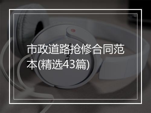 市政道路抢修合同范本(精选43篇)