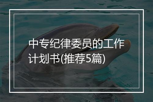 中专纪律委员的工作计划书(推荐5篇)