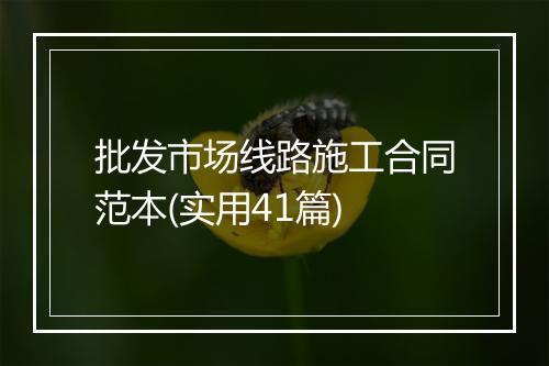 批发市场线路施工合同范本(实用41篇)