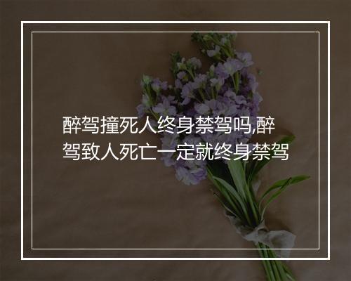 醉驾撞死人终身禁驾吗,醉驾致人死亡一定就终身禁驾
