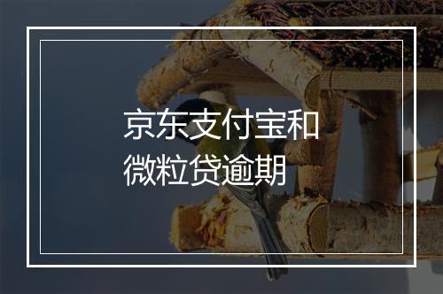 京东支付宝和微粒贷逾期