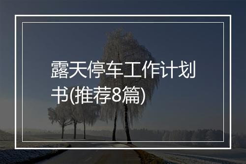 露天停车工作计划书(推荐8篇)