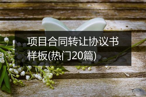 项目合同转让协议书样板(热门20篇)