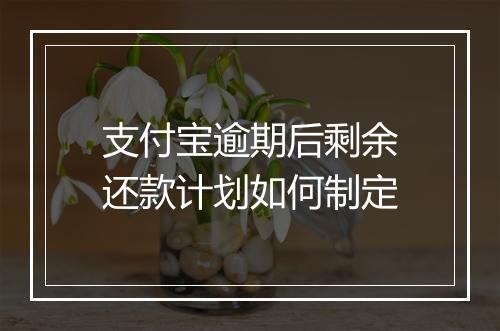 支付宝逾期后剩余还款计划如何制定