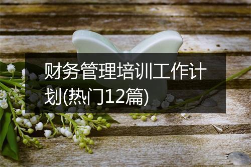 财务管理培训工作计划(热门12篇)