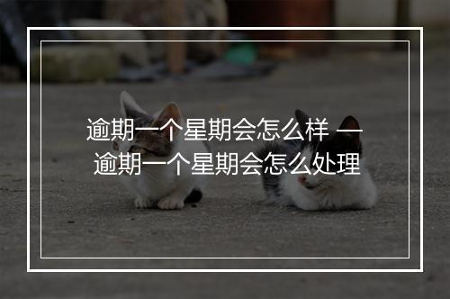 逾期一个星期会怎么样 — 逾期一个星期会怎么处理