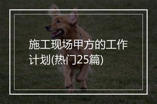 施工现场甲方的工作计划(热门25篇)