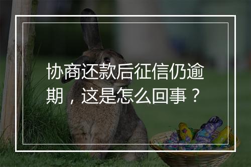 协商还款后征信仍逾期，这是怎么回事？