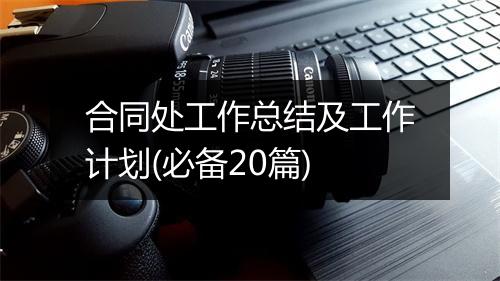 合同处工作总结及工作计划(必备20篇)