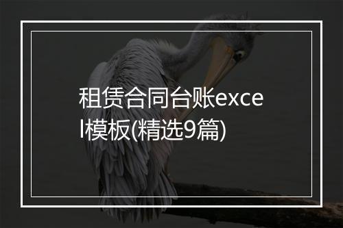 租赁合同台账excel模板(精选9篇)
