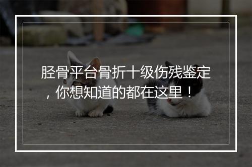胫骨平台骨折十级伤残鉴定，你想知道的都在这里！