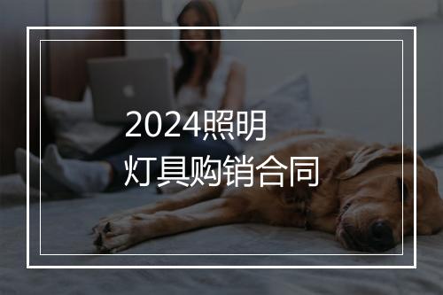 2024照明灯具购销合同
