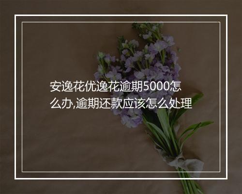 安逸花优逸花逾期5000怎么办,逾期还款应该怎么处理