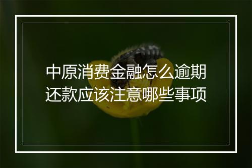 中原消费金融怎么逾期还款应该注意哪些事项