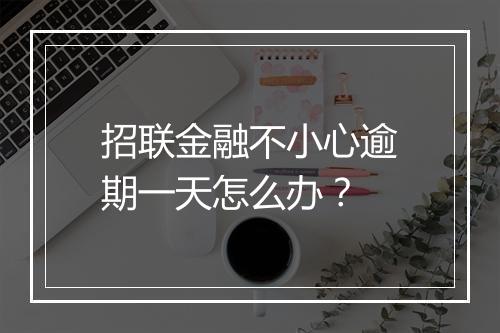 招联金融不小心逾期一天怎么办？